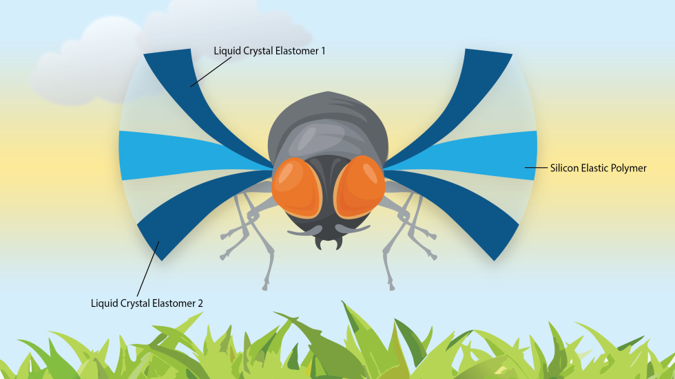 UCLA Scientists Build Light-Powered Robot That Flaps Like a Bee